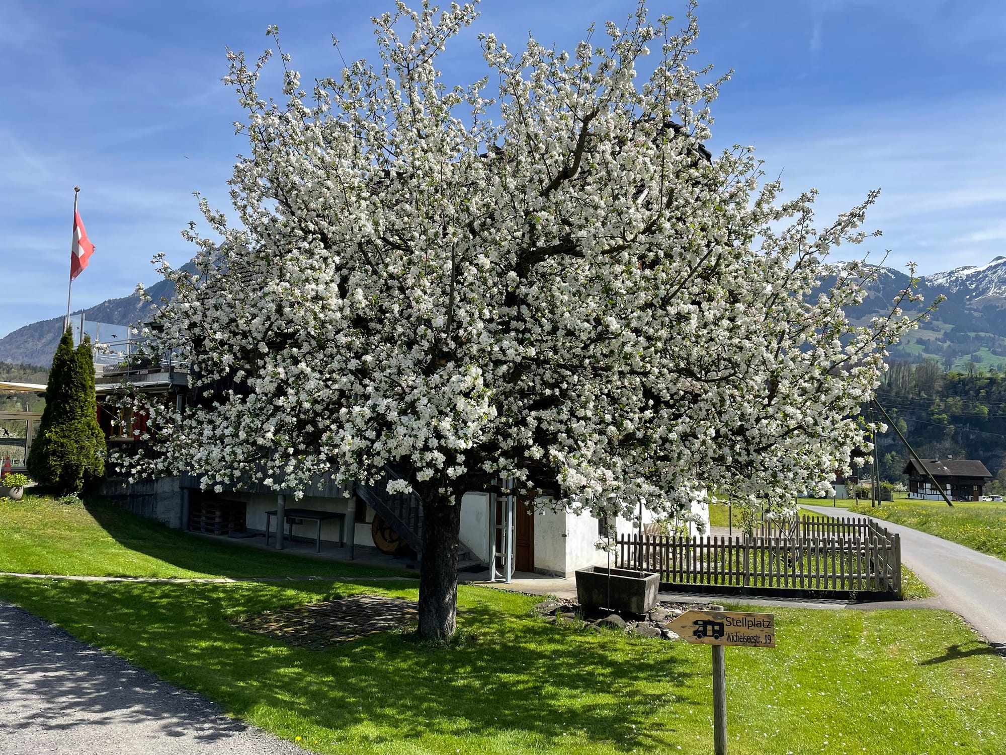 Kägiswil, on a farm - 13 April 2024