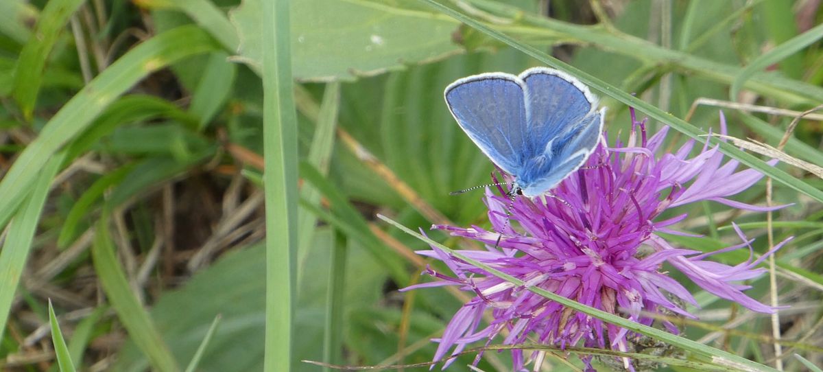 Lans-en-Vercors - 09 September 2019