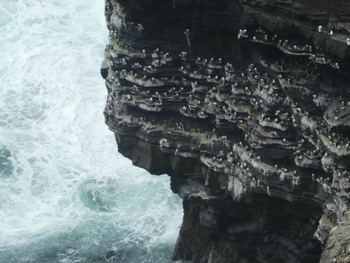 Cliffs of Moher, The Burren and Poulnabrone Dolmen - 30 April 2023