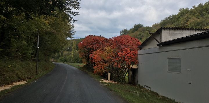 Salignac-Eyvigues - 19 October 2019